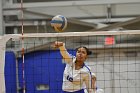 Volleyball vs MHC  Wheaton Women's Volleyball vs Mount Holyoke College. - Photo by Keith Nordstrom : Wheaton, Volleyball